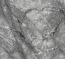 1.3M LoWhite Round Marble Dining Table With 4 Valentino Dark Grey Lion Knocker Chairs